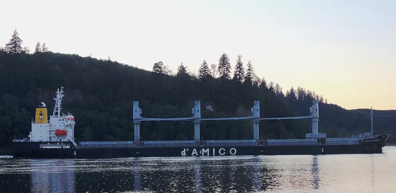 CIELO DI PALERMO Bulk Carrier IMO 9606003 photo 3