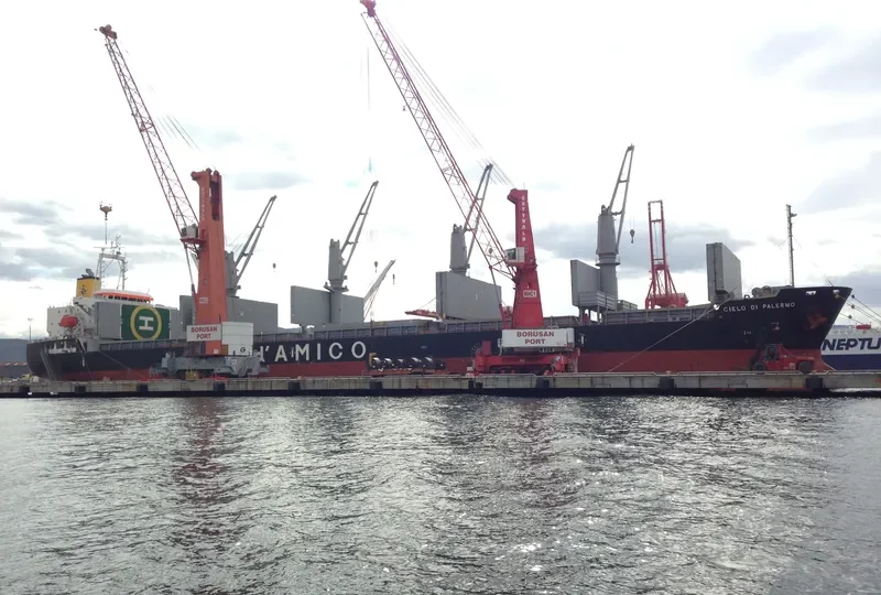 CIELO DI PALERMO Bulk Carrier IMO 9606003 photo 7