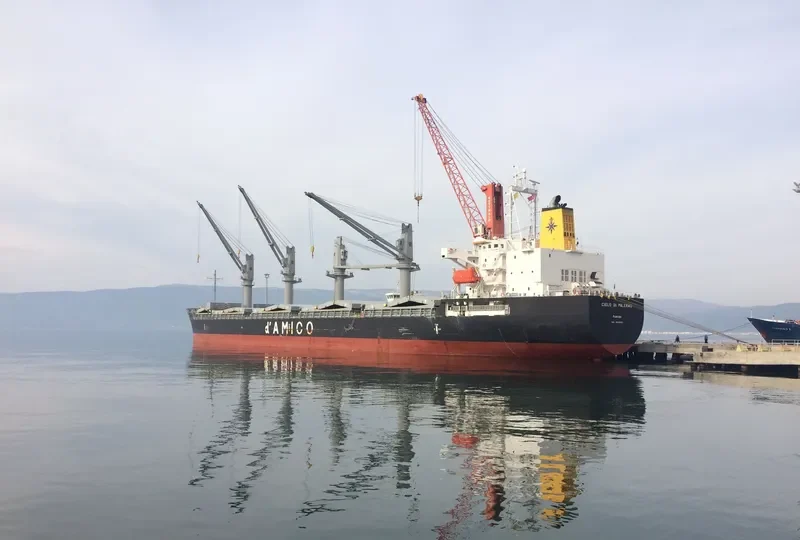 CIELO DI PALERMO Bulk Carrier IMO 9606003 photo 8