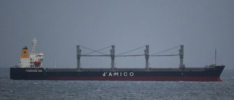 CIELO DI PALERMO Bulk Carrier IMO 9606003 photo 9