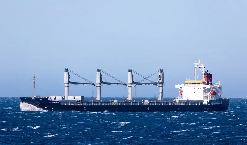 FURNESS SOUTHERN CROSS Bulk Carrier IMO 9606027 photo 2