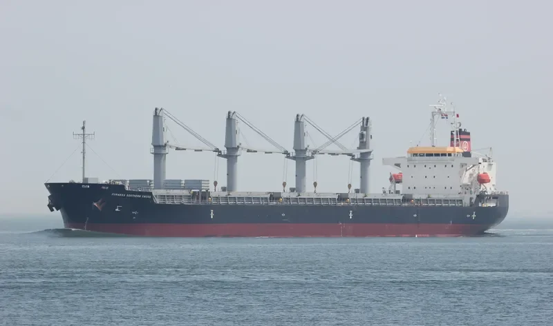 FURNESS SOUTHERN CROSS Bulk Carrier IMO 9606027 photo 3