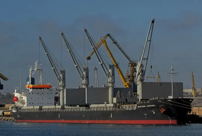 ES DIGNITY Bulk Carrier IMO 9606039