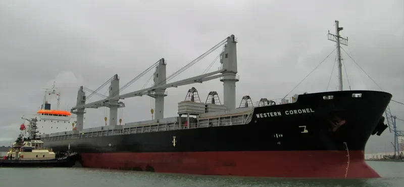 ES DIGNITY Bulk Carrier IMO 9606039 photo 3