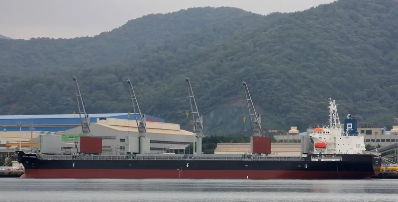ES DIGNITY Bulk Carrier IMO 9606039 photo 5
