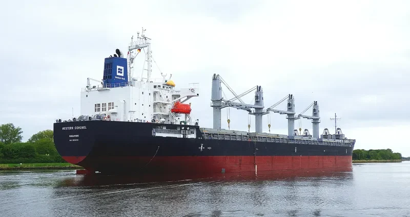 ES DIGNITY Bulk Carrier IMO 9606039 photo 7
