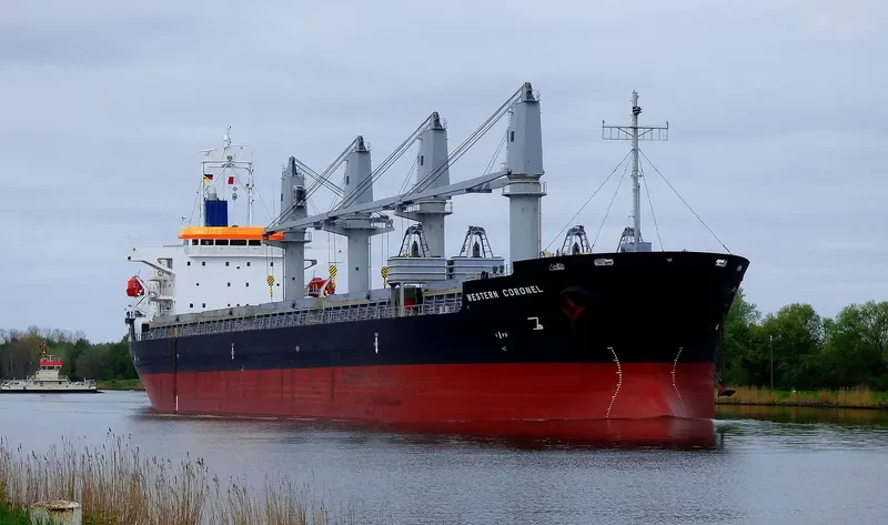ES DIGNITY Bulk Carrier IMO 9606039 photo 9