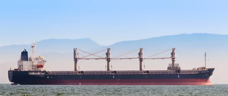 WESTERN CALLAO Bulk Carrier IMO 9606041