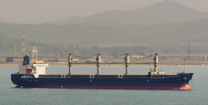 WESTERN CALLAO Bulk Carrier IMO 9606041 photo 2