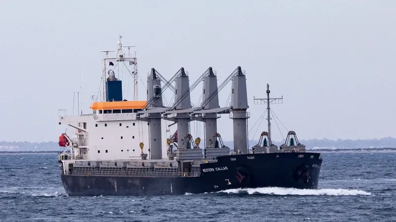 WESTERN CALLAO Bulk Carrier IMO 9606041 photo 3