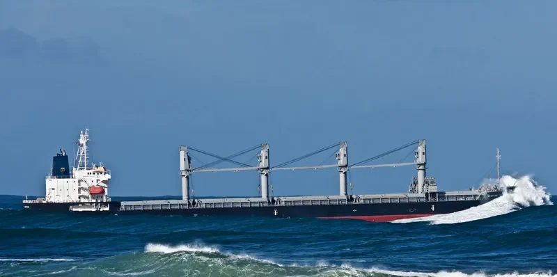 WESTERN CALLAO Bulk Carrier IMO 9606041 photo 7