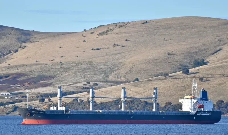 WESTERN CALLAO Bulk Carrier IMO 9606041 photo 9