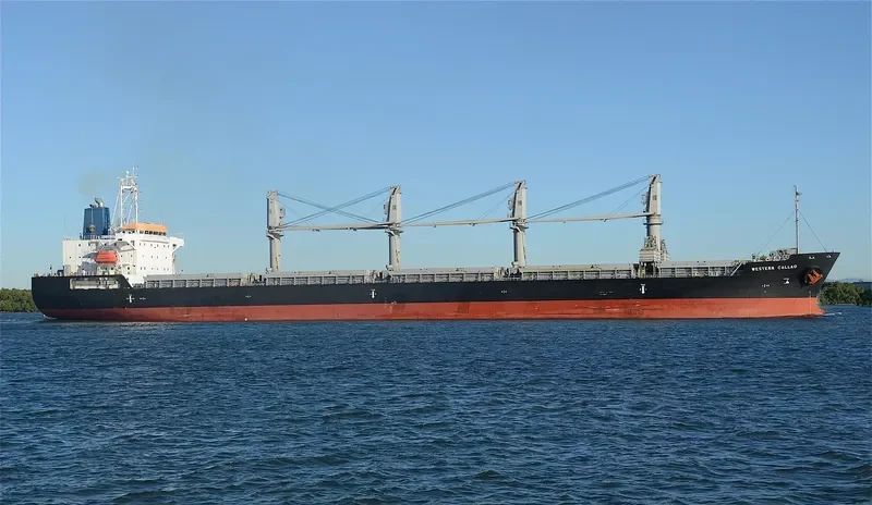 WESTERN CALLAO Bulk Carrier IMO 9606041 photo 10