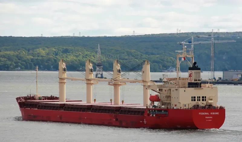 FEDERAL KIBUNE Bulk Carrier IMO 9606053