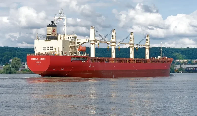 FEDERAL KIBUNE Bulk Carrier IMO 9606053 photo 5