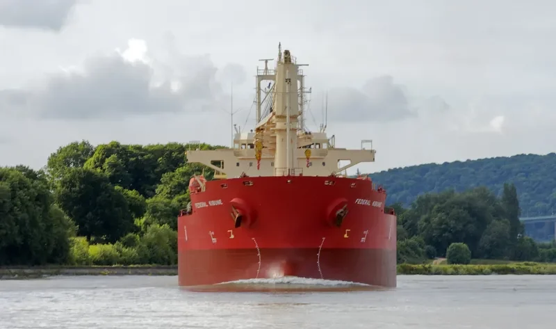 FEDERAL KIBUNE Bulk Carrier IMO 9606053 photo 6