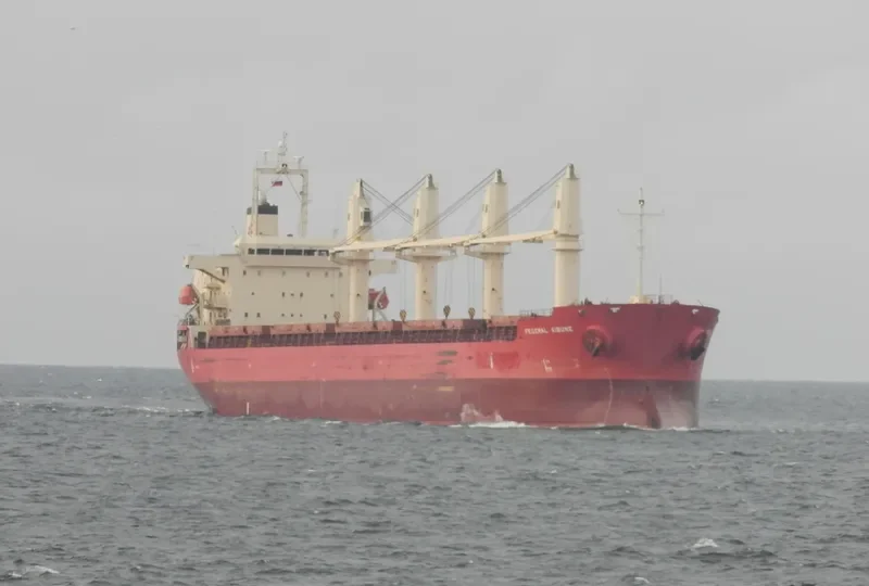 FEDERAL KIBUNE Bulk Carrier IMO 9606053 photo 10