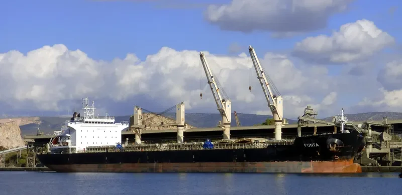 PUNTA Bulk Carrier IMO 9606118