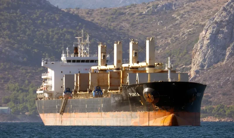 PUNTA Bulk Carrier IMO 9606118 photo 2