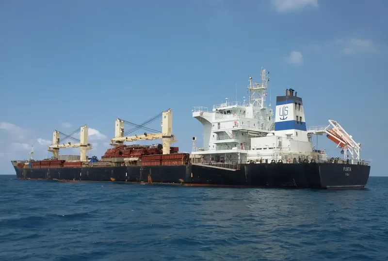 PUNTA Bulk Carrier IMO 9606118 photo 3