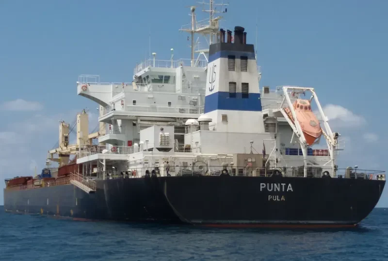 PUNTA Bulk Carrier IMO 9606118 photo 4
