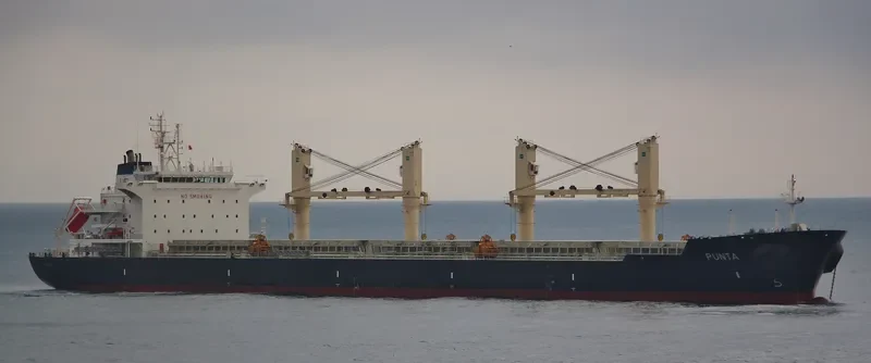 PUNTA Bulk Carrier IMO 9606118 photo 5