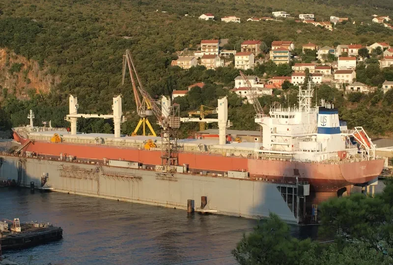 PUNTA Bulk Carrier IMO 9606118 photo 7