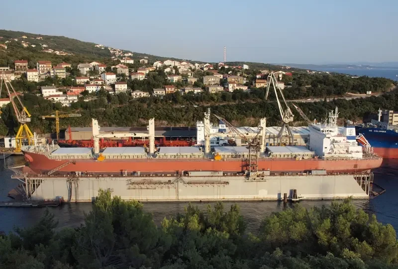 PUNTA Bulk Carrier IMO 9606118 photo 8
