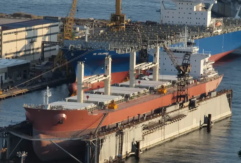 PUNTA Bulk Carrier IMO 9606118 photo 9