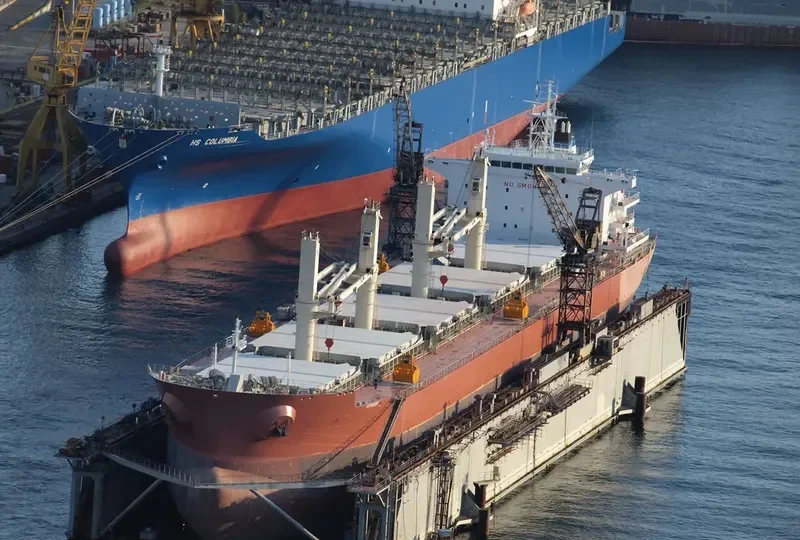 PUNTA Bulk Carrier IMO 9606118 photo 10