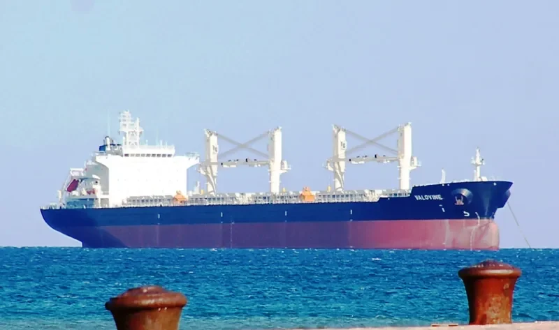 VALOVINE Bulk Carrier IMO 9606120 photo 2