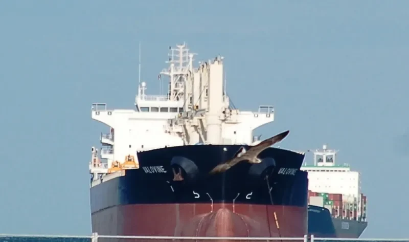 VALOVINE Bulk Carrier IMO 9606120 photo 3