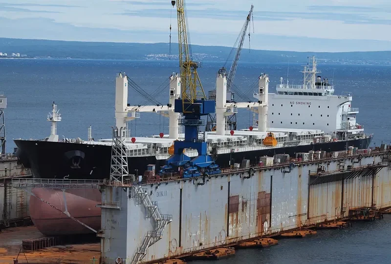 VALOVINE Bulk Carrier IMO 9606120 photo 4