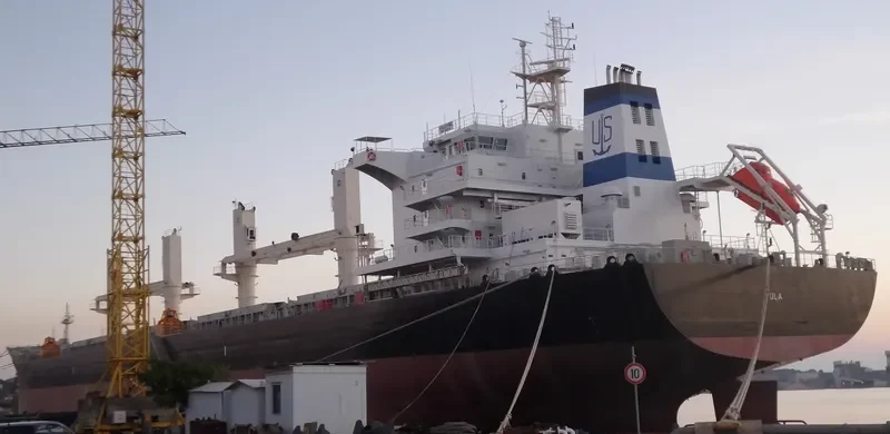 VALOVINE Bulk Carrier IMO 9606120 photo 5