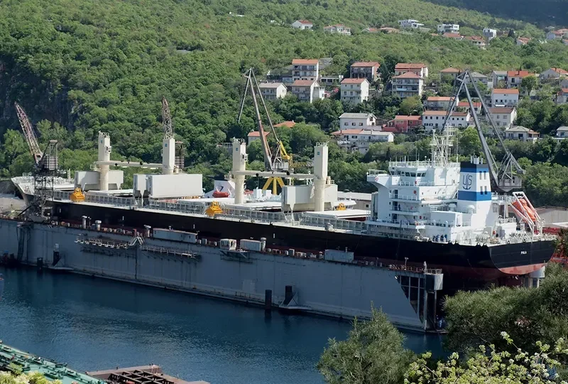 VALOVINE Bulk Carrier IMO 9606120 photo 9