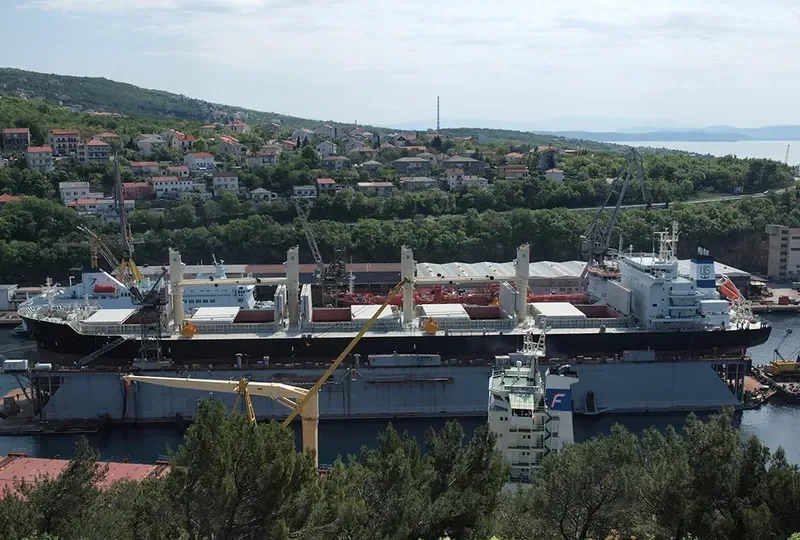 VALOVINE Bulk Carrier IMO 9606120 photo 10