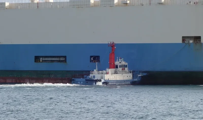 NAGATO General Cargo IMO 9606390 photo 8
