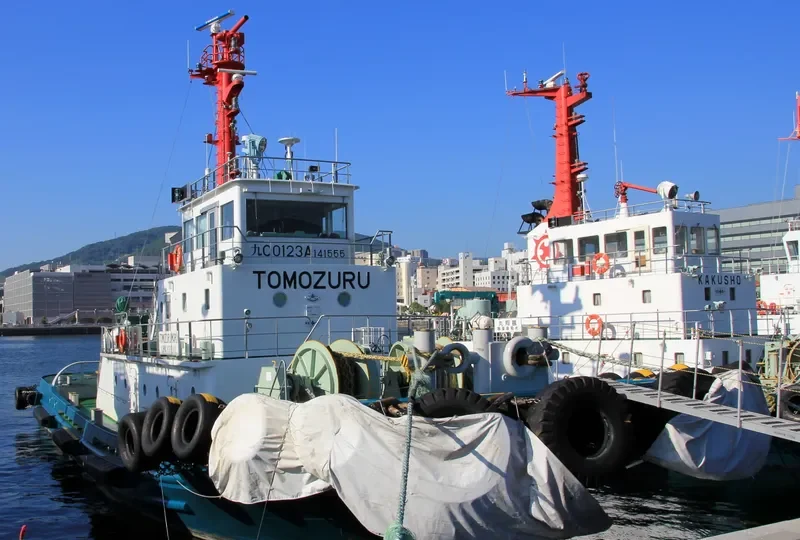 TOMOZURUMARU General Cargo IMO 9606405 photo 3