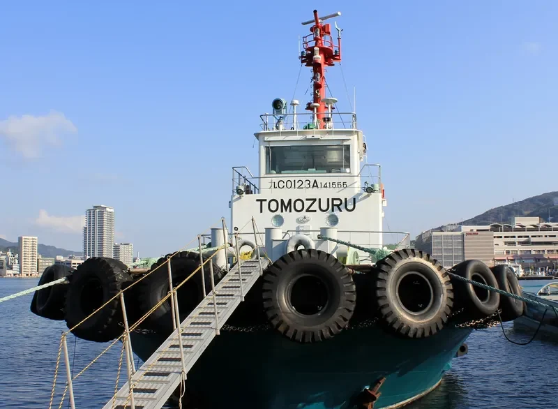 TOMOZURUMARU General Cargo IMO 9606405 photo 4