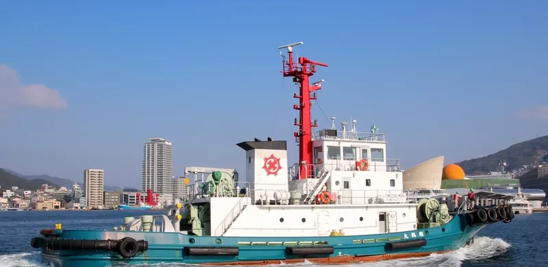 TOMOZURUMARU General Cargo IMO 9606405 photo 9