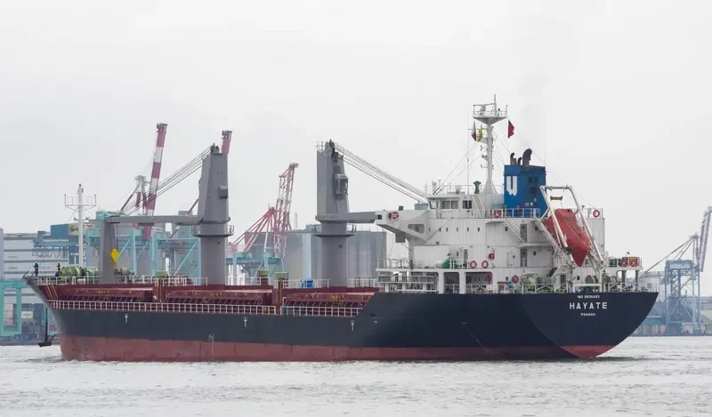 HAYATE General Cargo IMO 9606493 photo 8