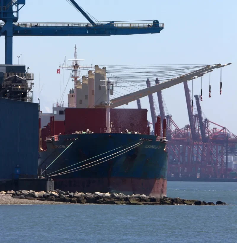 CLEARWATER BAY Bulk Carrier IMO 9606534 photo 4