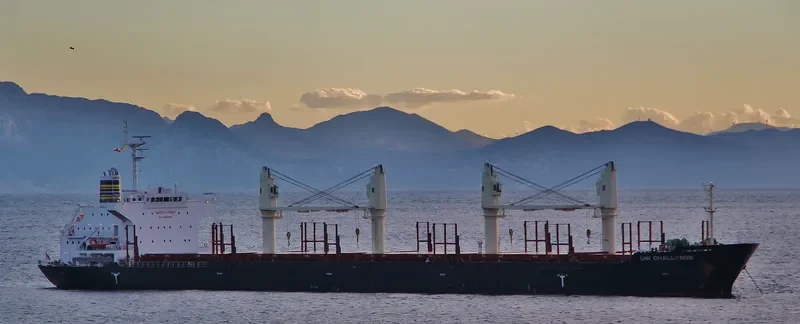 UNI CHALLENGE Bulk Carrier IMO 9606546 photo 7