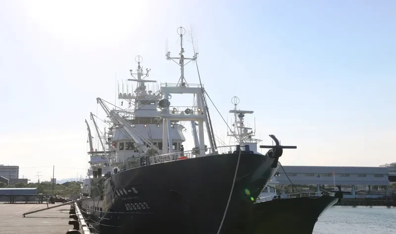 SUWA MARU NO.1 General Cargo IMO 9606730 photo 2