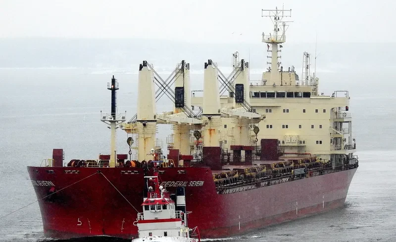 FEDERAL SEVERN Bulk Carrier IMO 9606821 photo 2