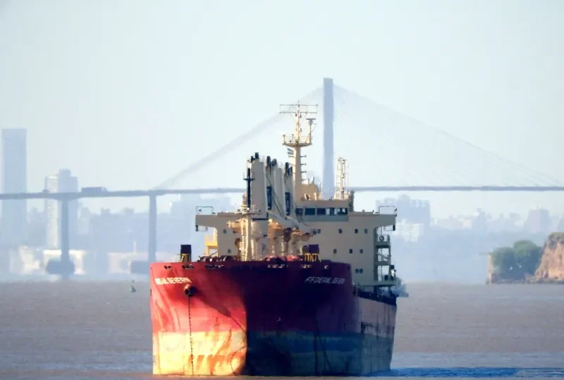 FEDERAL SEVERN Bulk Carrier IMO 9606821 photo 4