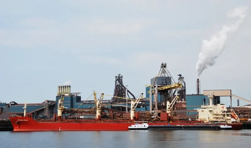 FEDERAL SKYE Bulk Carrier IMO 9606833