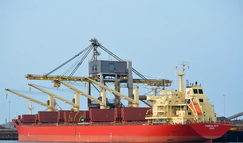 FEDERAL SKYE Bulk Carrier IMO 9606833 photo 2