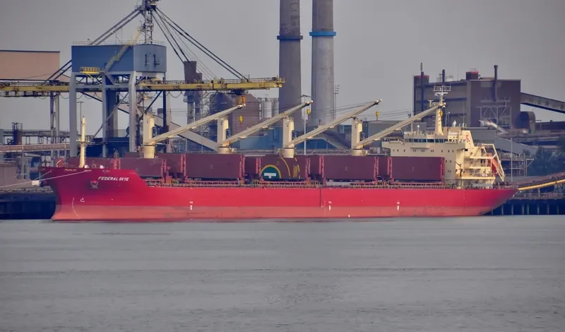 FEDERAL SKYE Bulk Carrier IMO 9606833 photo 3