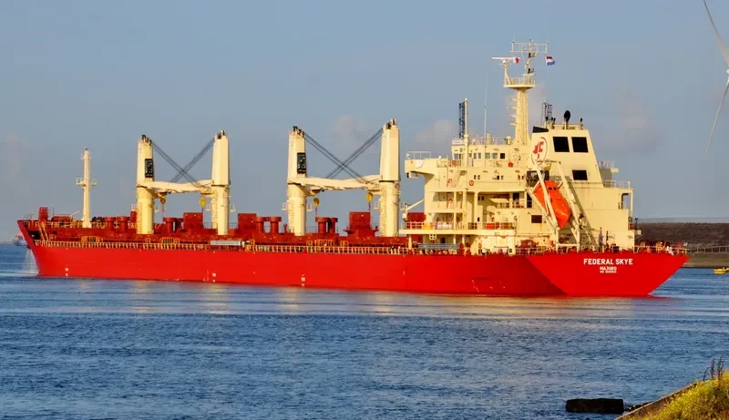 FEDERAL SKYE Bulk Carrier IMO 9606833 photo 4